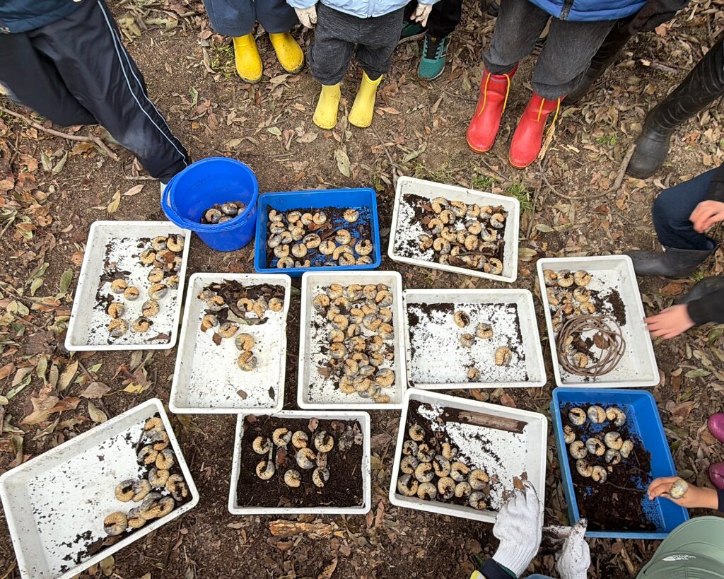 北九州市の森で、子どもたちが春の自然観察として卵や幼虫を見つけ、土や水辺に触れている様子


